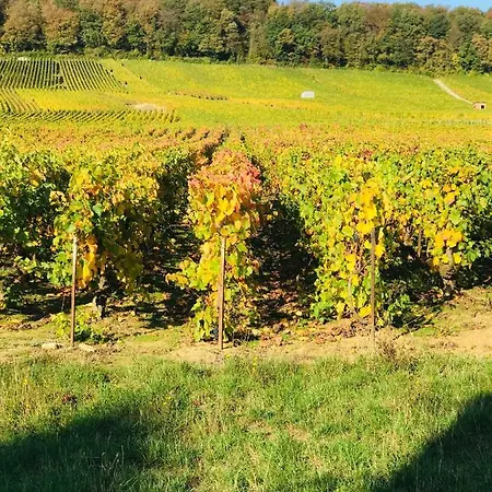 La Eustache Blancs-Coteaux
